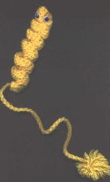book mark worm pattern